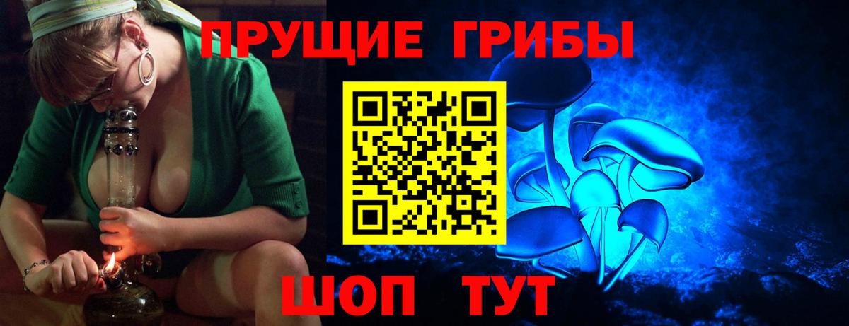 Псилоцибиновые грибы Cubensis  Вход с VPN  Рассказово 